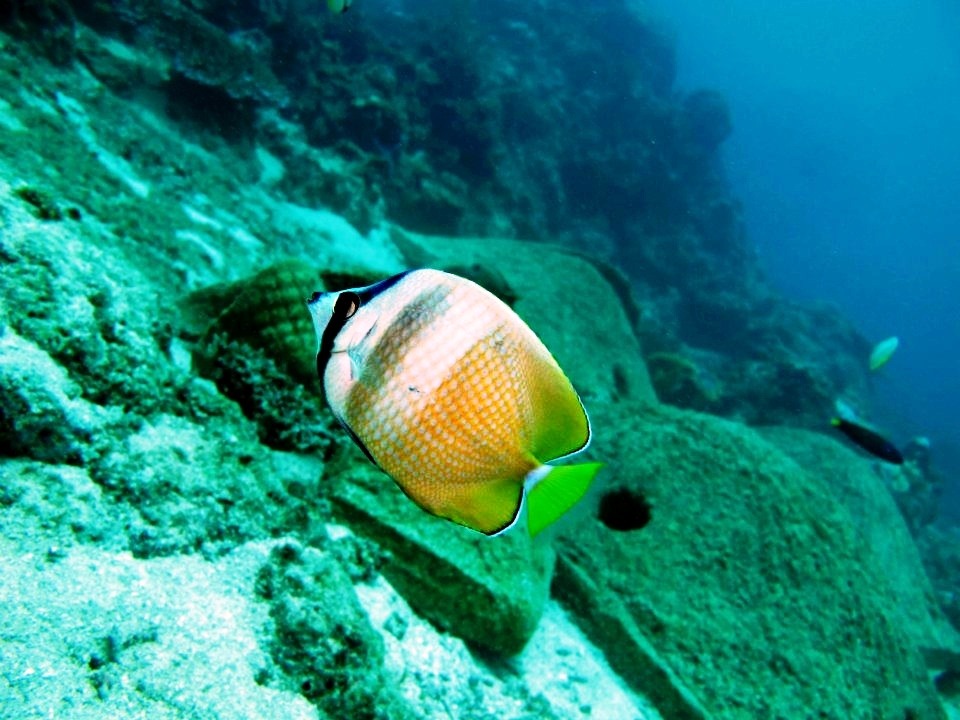 559420_2926641845030_1421271429_n